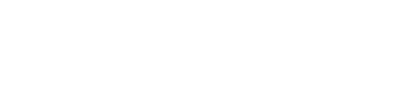 Lauren Book for State Senate
